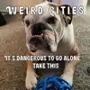 Weird Cities - It's Dangerous To Go Alone... Take This - Single